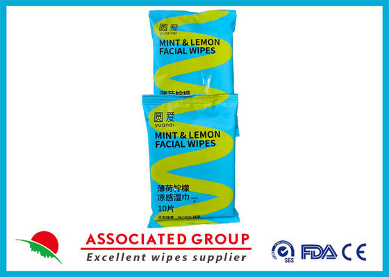 Yuanai Mint Lemon Cooling Wipes | Personal Cleansing Adult Wipes Made From Plant Based Fibers