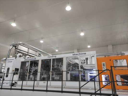 South China Biggest TrüTzschler, Andritz Wet, Dry Wipes Producer 36 Years