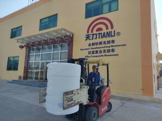 South China Biggest TrüTzschler, Andritz Wet, Dry Wipes Producer 36 Years