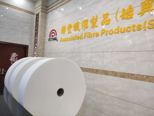 20% Viscose 80% Polyester Fibre Spunlace Nonwoven Germany TrüTzschler