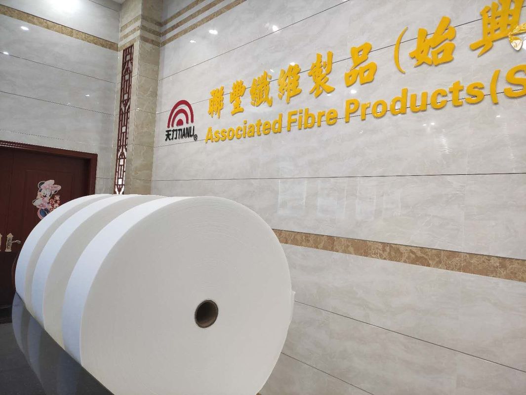 20% Viscose 80% Polyester Fibre Spunlace Nonwoven Germany TrüTzschler